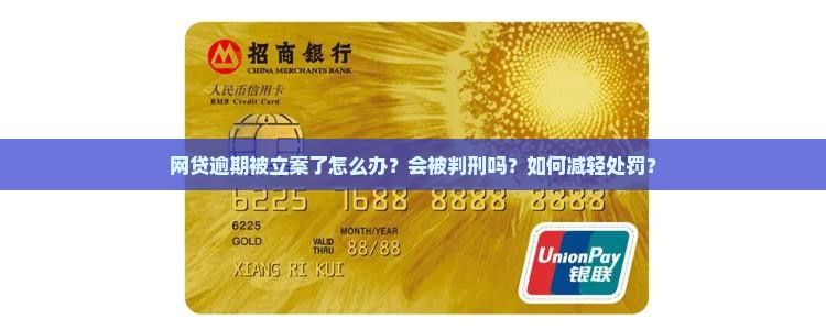 网贷逾期被立案了怎么办？会被判刑吗？如何减轻处罚？