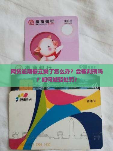 网贷逾期被立案了怎么办？会被判刑吗？如何减轻处罚？