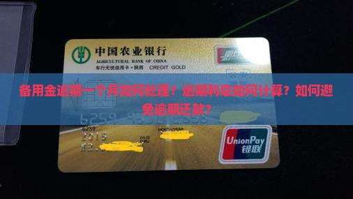 备用金逾期一个月如何处理？逾期利息如何计算？如何避免逾期还款？
