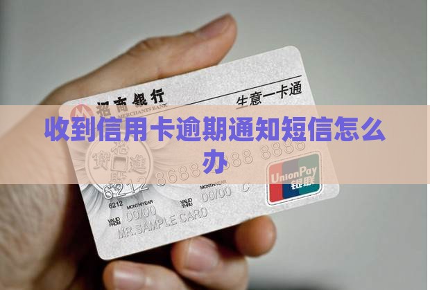 收到信用卡逾期通知短信怎么办