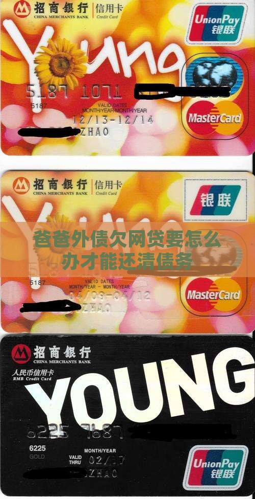 爸爸外债欠网贷要怎么办才能还清债务