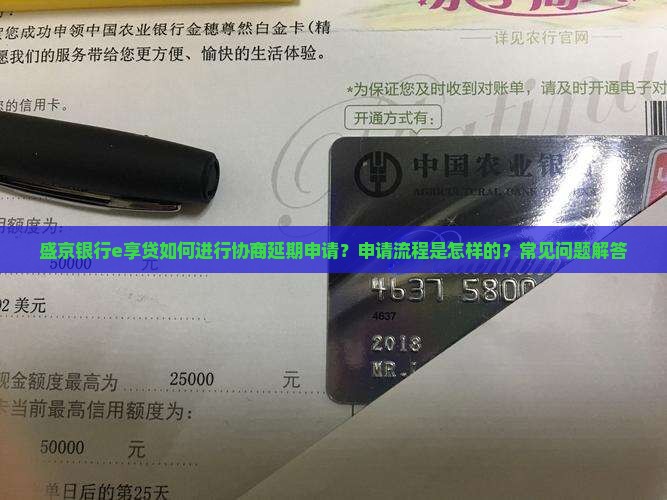 盛京银行e享贷如何进行协商延期申请？申请流程是怎样的？常见问题解答