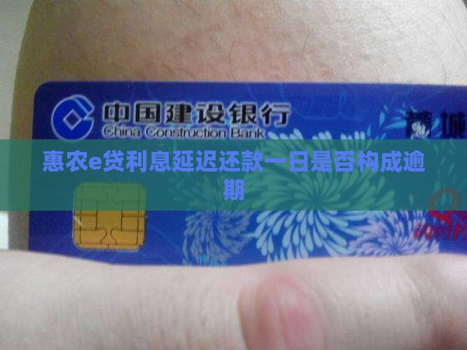 惠农e贷利息延迟还款一日是否构成逾期