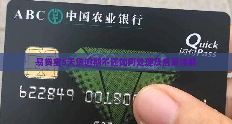 易贷宝5天贷逾期不还如何处理及后果详解