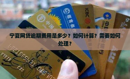 宁夏网贷逾期费用是多少？如何计算？需要如何处理？