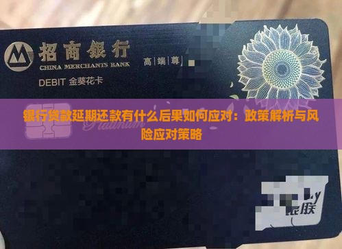 银行贷款延期还款有什么后果如何应对：政策解析与风险应对策略