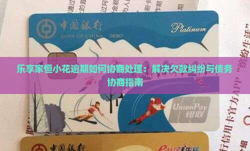 乐享家恒小花逾期如何协商处理：解决欠款纠纷与债务协商指南
