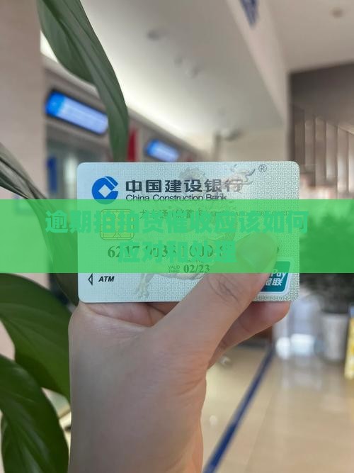 逾期拍拍贷催收应该如何应对和处理