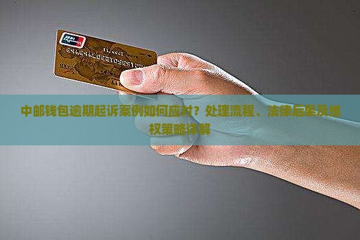 中邮钱包逾期起诉案例如何应对？处理流程、法律后果及维权策略详解