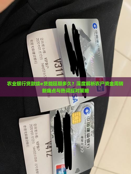 农业银行贷款续e贷能延期多久？深度解析农户资金周转新痛点与热词应对策略