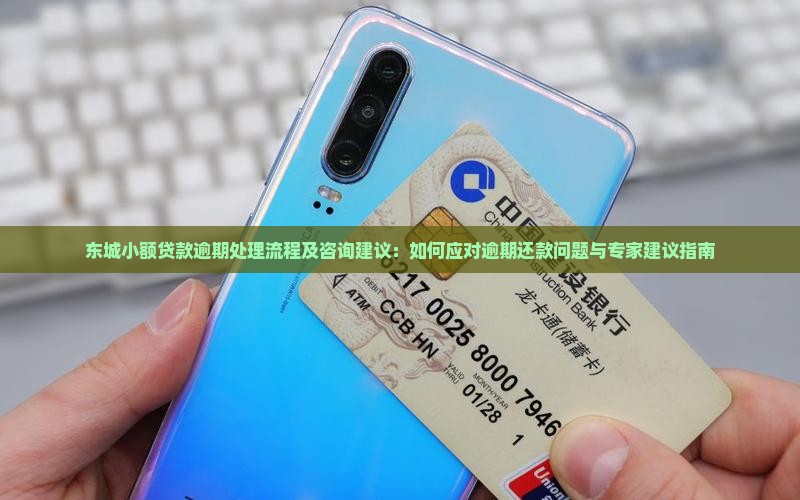 东城小额贷款逾期处理流程及咨询建议：如何应对逾期还款问题与专家建议指南