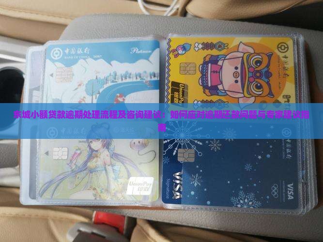 东城小额贷款逾期处理流程及咨询建议：如何应对逾期还款问题与专家建议指南