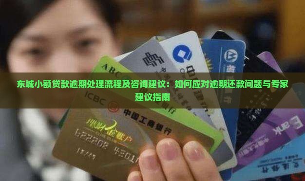 东城小额贷款逾期处理流程及咨询建议：如何应对逾期还款问题与专家建议指南