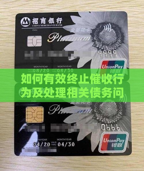 如何有效终止催收行为及处理相关债务问题？