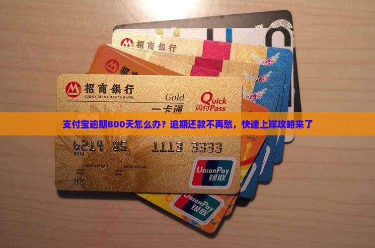 支付宝逾期800天怎么办？逾期还款不再愁，快速上岸攻略来了