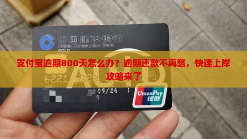支付宝逾期800天怎么办？逾期还款不再愁，快速上岸攻略来了