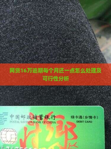 网贷16万逾期每个月还一点怎么处理及可行性分析