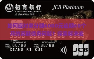 如何应对来分期6000元逾期60个月的高额债务问题？探索解决逾期贷款的热门策略与技巧！