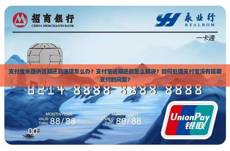 支付宝未提供延期还款选项怎么办？支付宝逾期还款怎么解决？如何处理支付宝没有延期支付的问题？