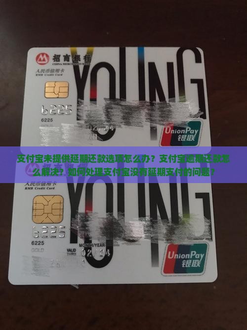 支付宝未提供延期还款选项怎么办？支付宝逾期还款怎么解决？如何处理支付宝没有延期支付的问题？