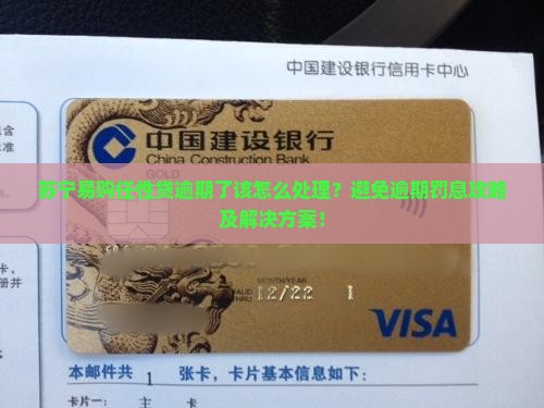 苏宁易购任性贷逾期了该怎么处理？避免逾期罚息攻略及解决方案！