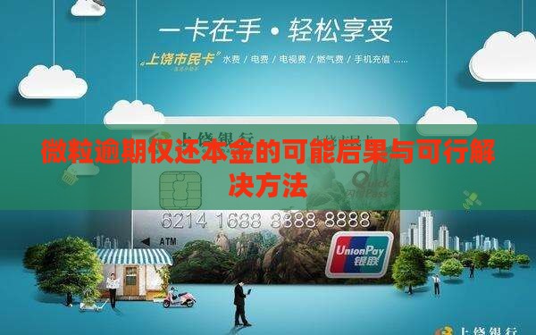 微粒逾期仅还本金的可能后果与可行解决方法