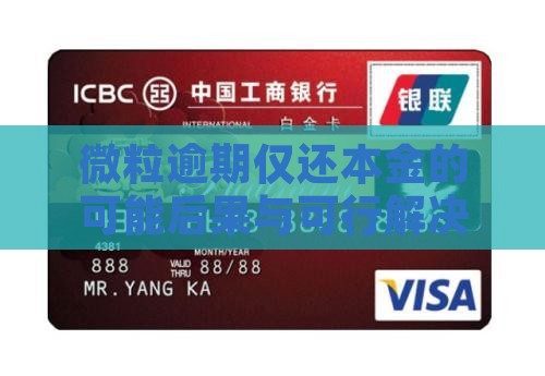 微粒逾期仅还本金的可能后果与可行解决方法