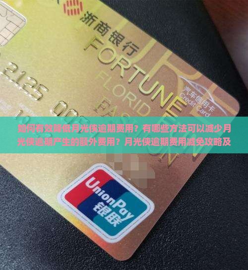 如何有效降低月光侠逾期费用？有哪些方法可以减少月光侠逾期产生的额外费用？月光侠逾期费用减免攻略及常见问题解答。