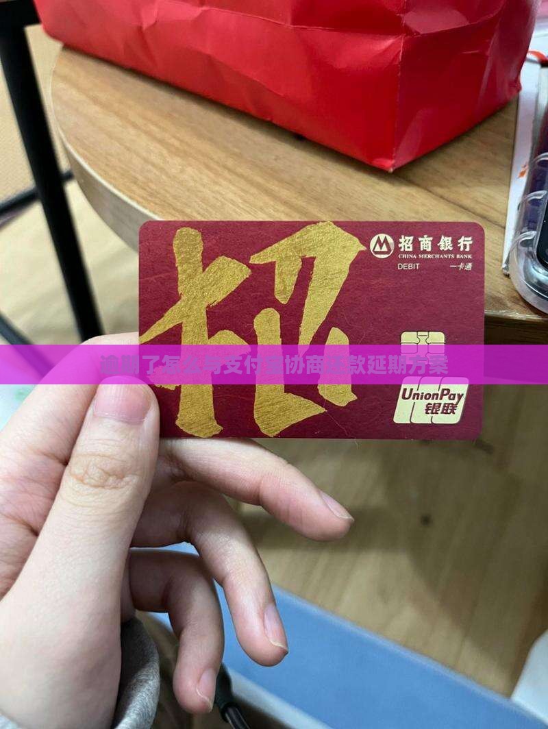 逾期了怎么与支付宝协商还款延期方案
