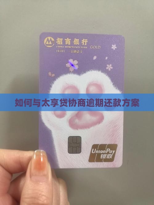 如何与太享贷协商逾期还款方案