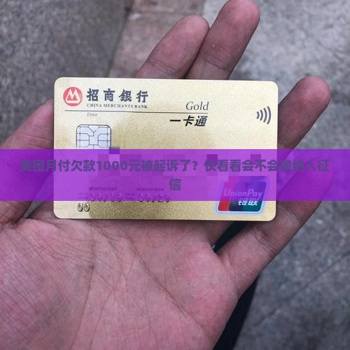美团月付欠款1000元被起诉了？快看看会不会被纳入征信