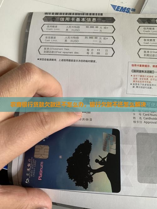 农商银行贷款欠款还不怎么办，银行欠款不还怎么解决