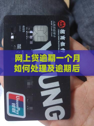 网上贷逾期一个月如何处理及逾期后果解析