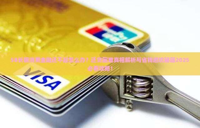 58长银消费金融还不起怎么办