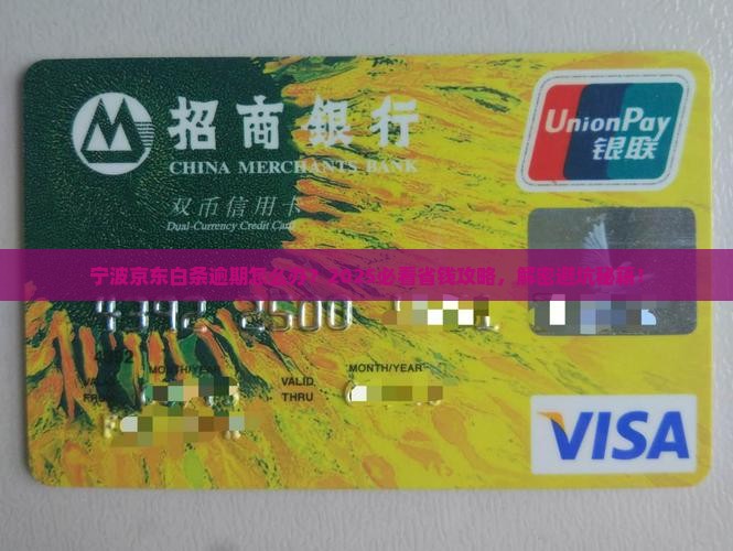 宁波京东白条逾期如何解决