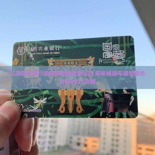 江苏建设银行逾期停息挂账