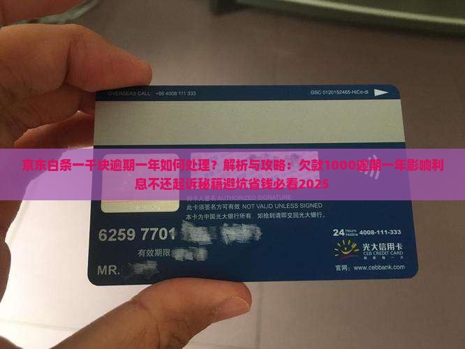 京东白条一千块逾期一年如何处理