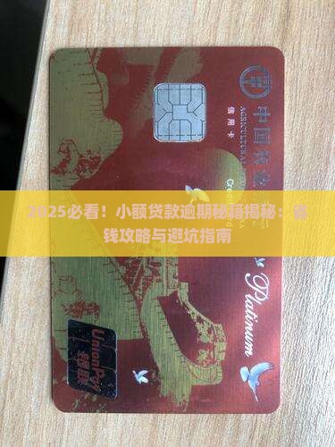 小额贷款平台逾期技巧是什么
