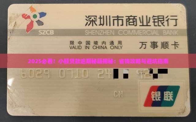 小额贷款平台逾期技巧是什么