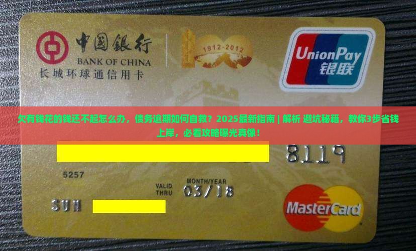 欠有钱花的钱还不起怎么办