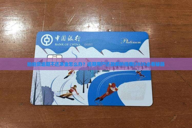 拍拍贷逾期不还本金怎么办