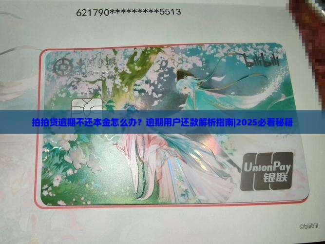 拍拍贷逾期不还本金怎么办