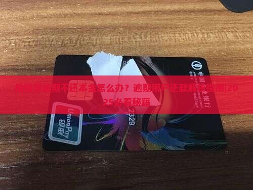 拍拍贷逾期不还本金怎么办