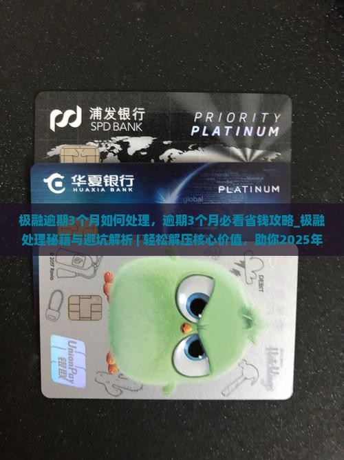 极融逾期3个月如何处理