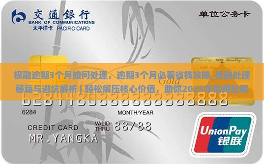 极融逾期3个月如何处理