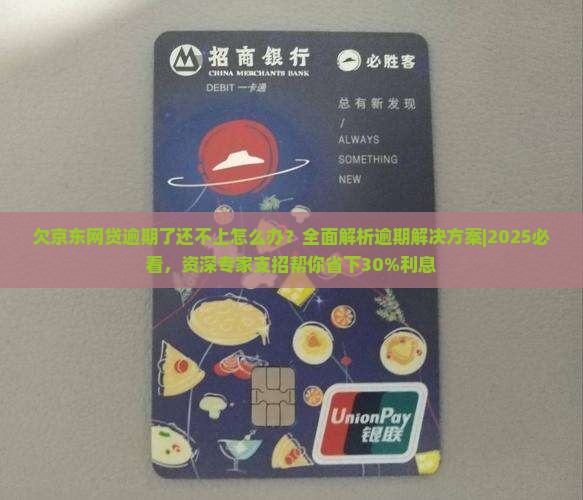 欠京东网贷逾期了还不上怎么办