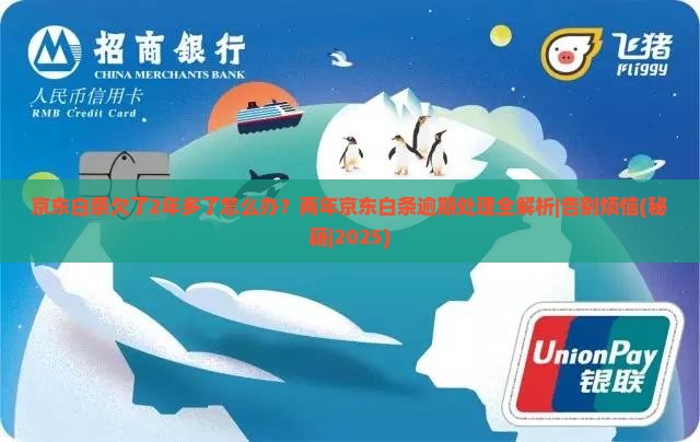 京东白条欠了2年多了怎么办