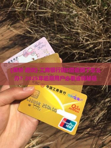 工商银行融E借逾期怎么办