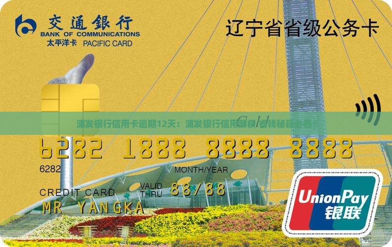 浦发银行逾期了12天