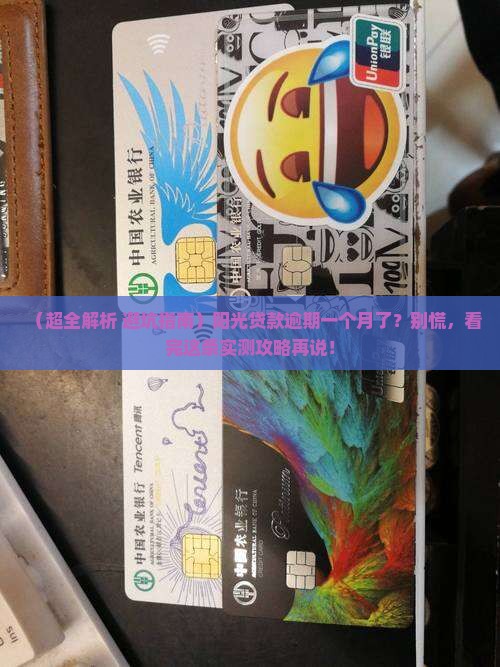 阳光贷款逾期一个月怎么办